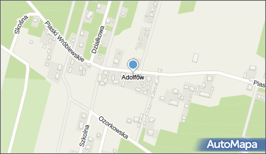 Adolfów (powiat zgierski), Adolfów - Inne