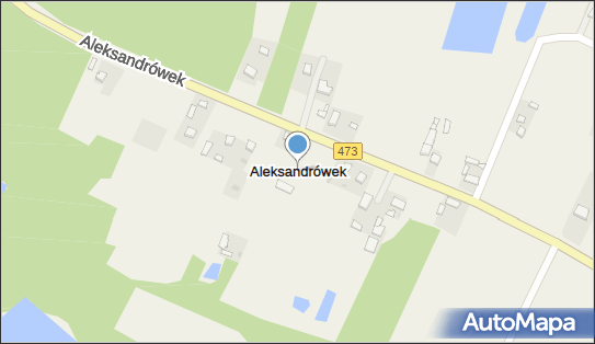 Aleksandrówek (powiat łęczycki), Aleksandrówek - Inne