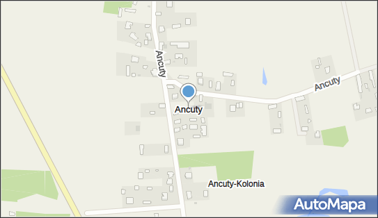 Ancuty, Ancuty - Inne
