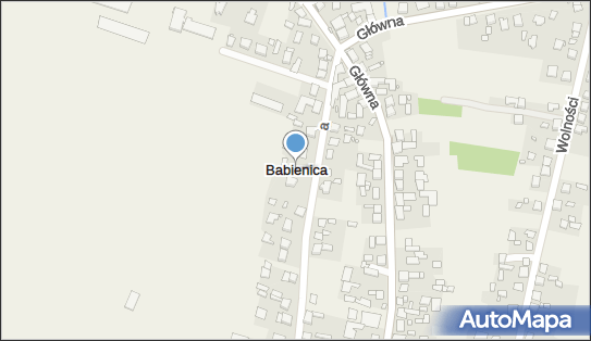 Babienica, Babienica - Inne