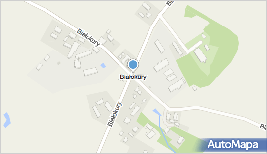 Białokury, Białokury - Inne