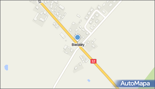 Bielawy (powiat pleszewski), Bielawy - Inne