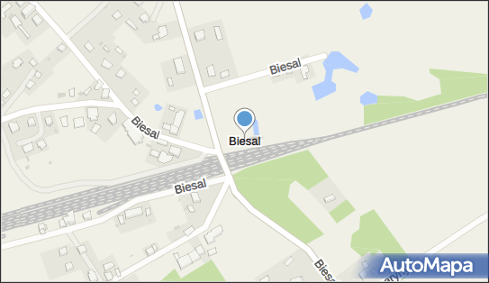 Biesal, Biesal - Inne