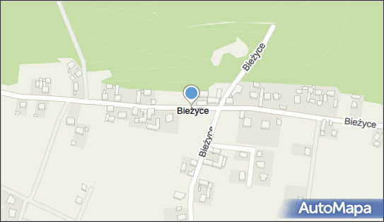 Bieżyce, Bieżyce - Inne