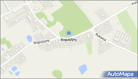 Boguszyny, Boguszyny - Inne