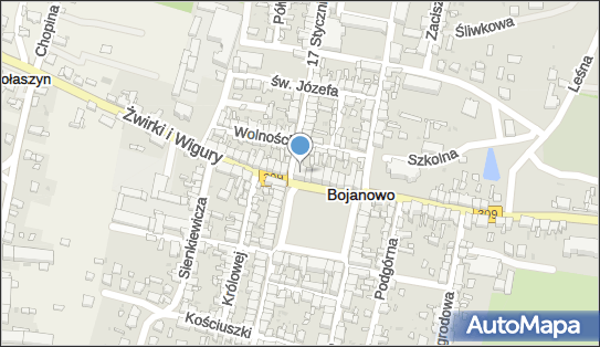 Bojanowo, Rynek 27, Bojanowo 63-940 - Inne