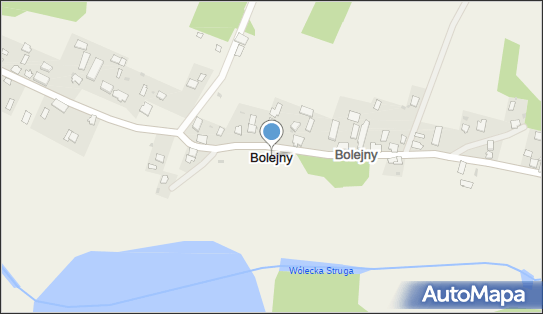 Bolejny, Bolejny - Inne