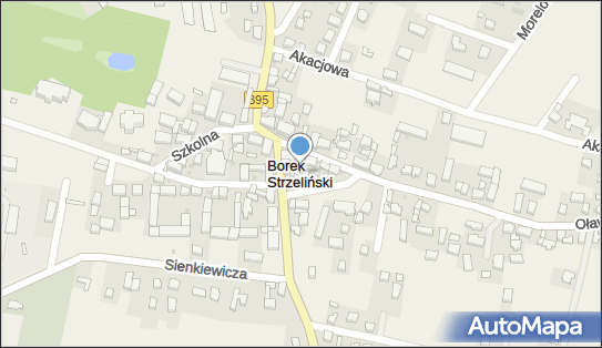 Borek Strzeliński, Borek Strzeliński - Inne