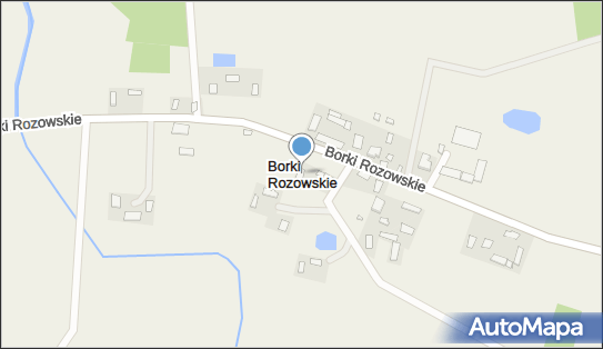 Borki Rozowskie, Borki Rozowskie - Inne