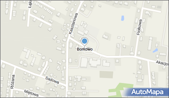 Borkowo Łostowickie, Borkowo - Inne