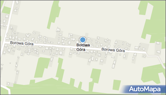 Borowa Góra (województwo świętokrzyskie), Borowa Góra - Inne