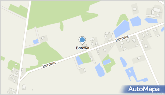 Borowa (powiat piotrkowski), Borowa - Inne