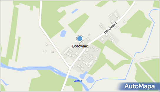 Borowiec (powiat radomszczański), Borowiec - Inne