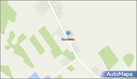 Borowiec (powiat włoszczowski), Borowiec - Inne