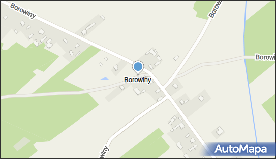 Borowiny (powiat łowicki), Borowiny - Inne