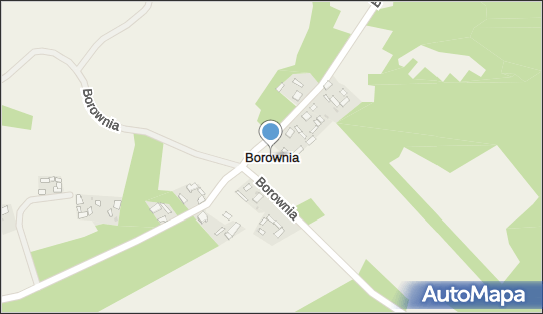 Borownia, Borownia - Inne