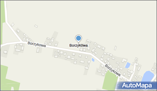 Borzykowa (województwo świętokrzyskie), Borzykowa - Inne