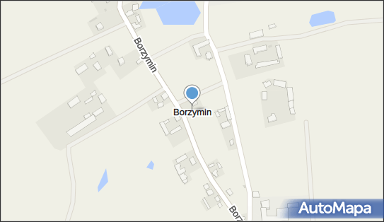 Borzymin, Borzymin - Inne