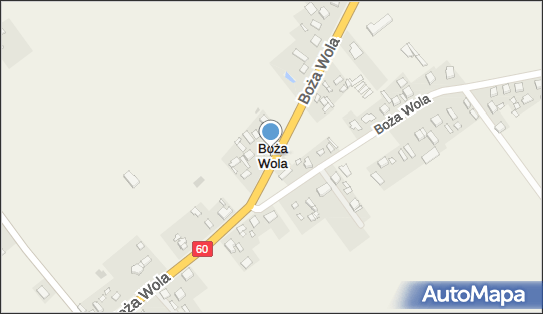 Boża Wola (województwo łódzkie), 60, Boża Wola - Inne