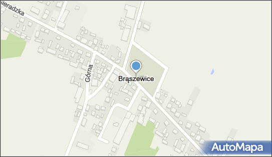 Brąszewice, Brąszewice - Inne