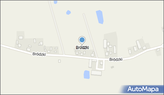 Bródzki, Bródzki - Inne