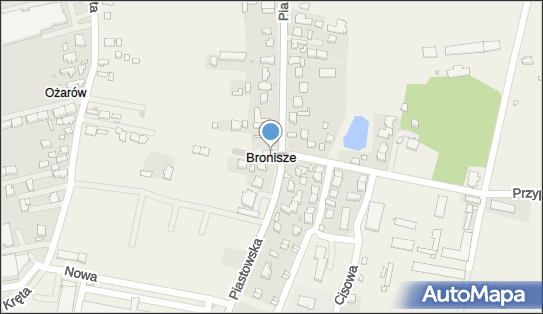 Bronisze (województwo mazowieckie), Bronisze - Inne