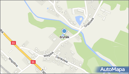 Brynek, Brynek - Inne