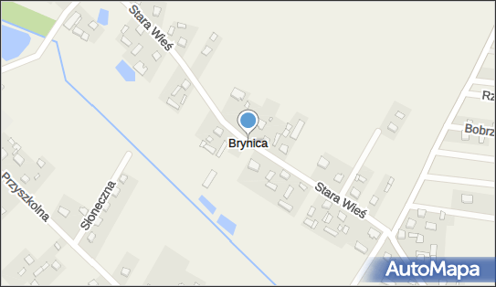 Brynica (województwo świętokrzyskie), Brynica - Inne