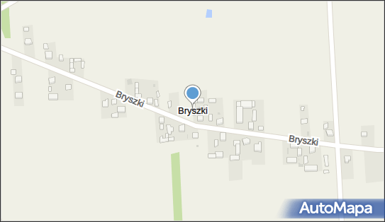 Bryszki, Bryszki - Inne