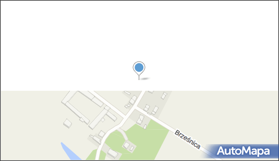 Brześnica, Brześnica - Inne