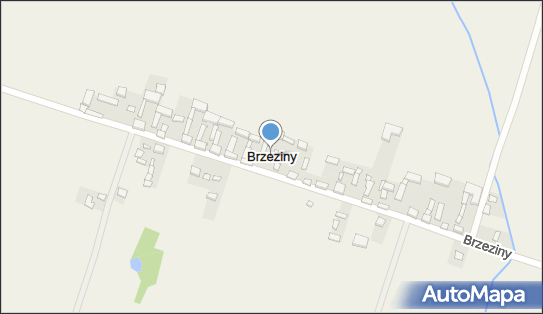 Brzeziny (powiat poddębicki), Brzeziny - Inne