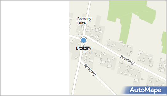 Brzeziny (powiat staszowski), Brzeziny - Inne