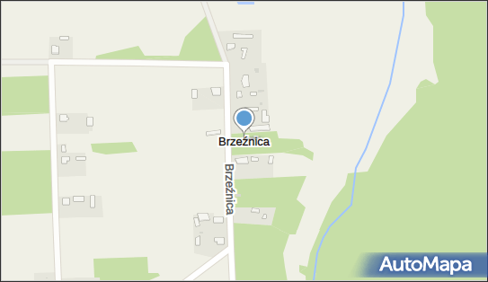 Brzeźnica (województwo świętokrzyskie), Brzeźnica - Inne