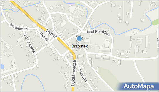 Brzostek, Brzostek - Inne