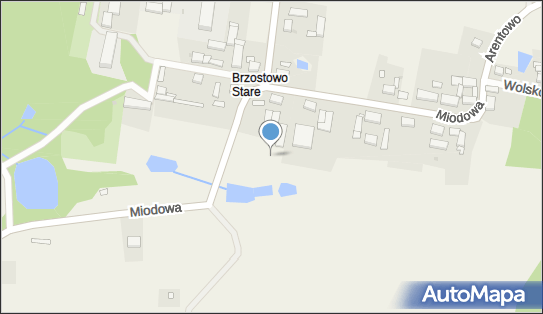 Brzostowo (województwo wielkopolskie), Miodowa, Brzostowo 89350 Inne