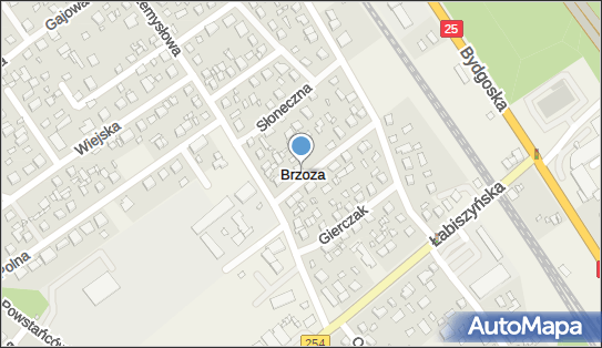 Brzoza (powiat bydgoski), Brzoza - Inne