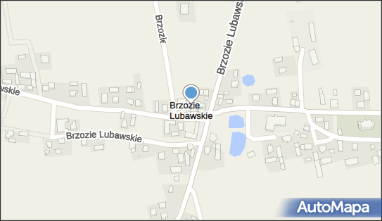 Brzozie Lubawskie, Brzozie Lubawskie - Inne