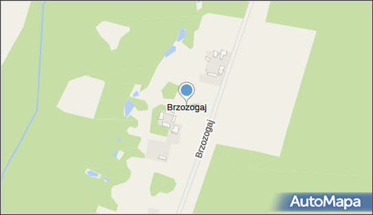 Brzozogaj, Brzozogaj - Inne