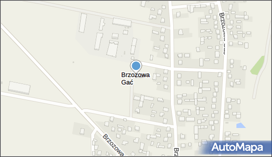 Brzozowa Gać, Brzozowa Gać - Inne