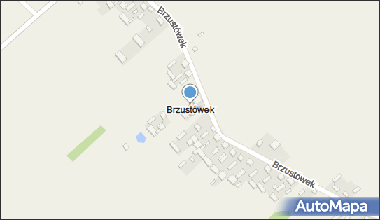 Brzustówek, Brzustówek - Inne