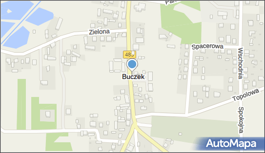 Buczek (powiat łaski), Buczek - Inne