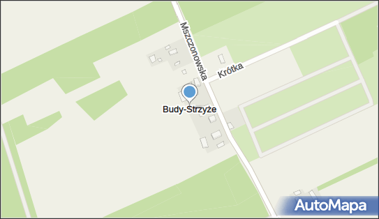 Budy-Strzyże, Budy-Strzyże - Inne