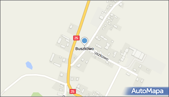 Buszkowo (powiat bydgoski), Buszkowo - Inne