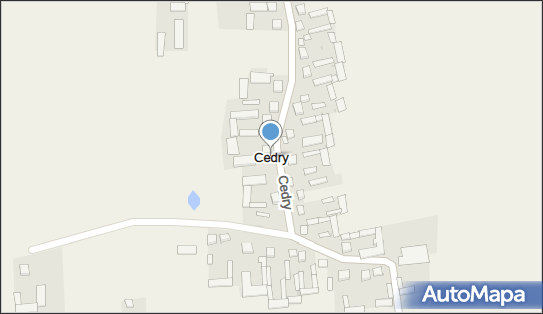 Cedry, Cedry - Inne