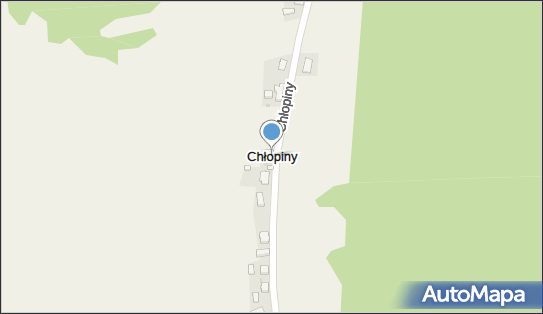 Chłopiny, Chłopiny - Inne