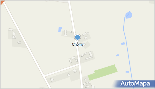 Chojny (województwo łódzkie), Chojny - Inne