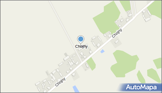 Chojny (województwo wielkopolskie), Chojny - Inne