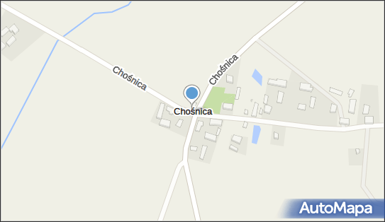 Chośnica, Chośnica - Inne