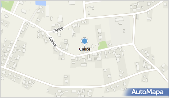 Cielce, Cielce - Inne