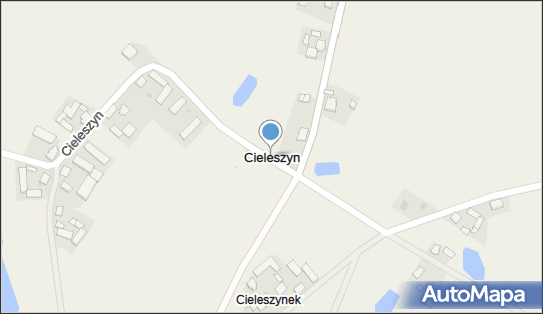 Cieleszyn, Cieleszyn - Inne